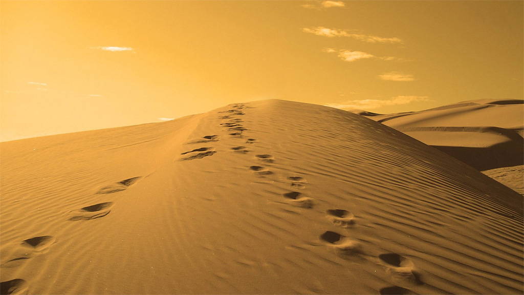 The Lasting Footprint